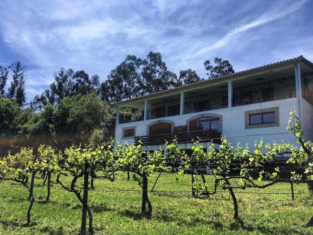 Quinta Da Quinta, Private Room Vieira do Minho Luaran gambar
